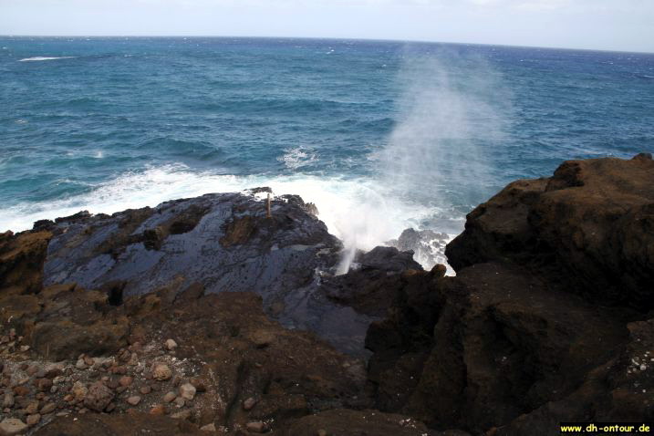 hawaii018.jpg