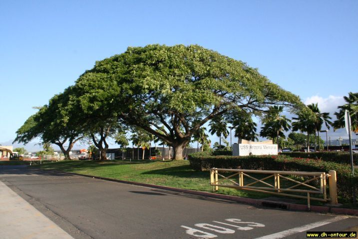 hawaii022.jpg