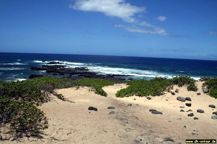 hawaii089.jpg