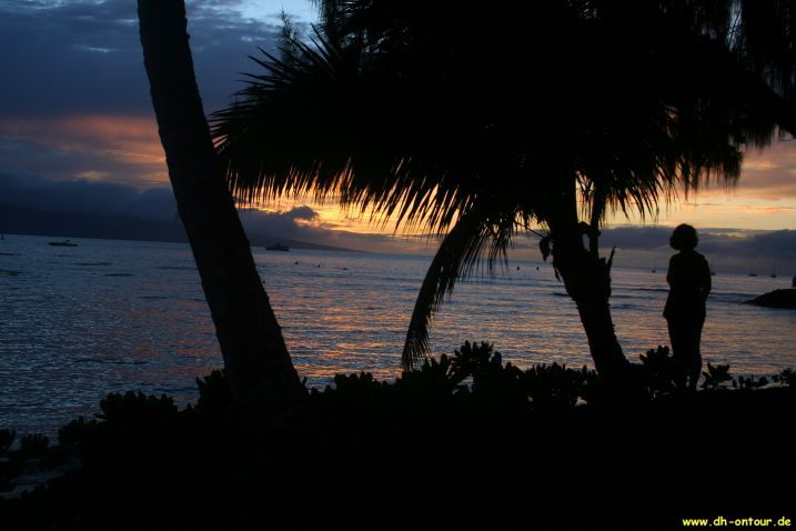 hawaii304.jpg