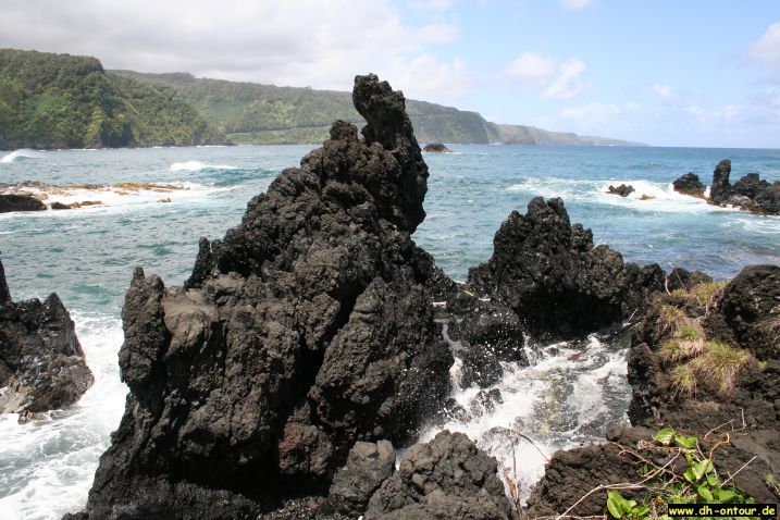 hawaii311.jpg