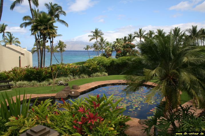hawaii331.jpg